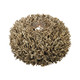 ELK Home - 2181-030 - Candle Holder - Briar - Natural