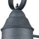 Onion One Light Outdoor Wall Sconce in Aged Zinc (45-57171/1)