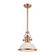 Chadwick One Light Pendant in Antique Copper (45-66143-1)