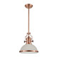 Chadwick One Light Pendant in Antique Copper (45-66143-1)