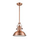 Chadwick One Light Pendant in Antique Copper (45-66144-1)