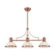 Chadwick Three Light Linear Chandelier in Antique Copper (45-66245-3)