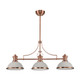 Chadwick Three Light Linear Chandelier in Antique Copper (45-66245-3)