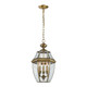 ELK Home - 8603EH/89 - Three Light Outdoor Pendant - Ashford - Antique Brass