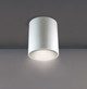 Cask LED Ceiling Mount (34328-019)