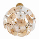 Sue-Anne Six Light Chandelier