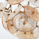 Sue-Anne Six Light Chandelier