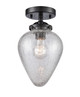 manufacturer_finish:Oil Rubbed Bronze|manufacturer_glass:Clear Crackle Geneseo