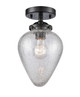 manufacturer_finish:Oil Rubbed Bronze|manufacturer_glass:Clear Crackle Geneseo