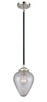 manufacturer_finish:Black Polished Nickel|manufacturer_glass:Clear Crackle Geneseo|light_output:600.00lm|color_temperature:2700K|cri:82