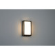 Montana LED Outdoor Wall Mount (20024LEDDMG-BL/ACR)