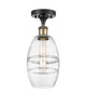 manufacturer_finish:Black Antique Brass|manufacturer_glass:Clear