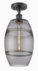 manufacturer_finish:Matte Black|manufacturer_glass:Light Smoke Vaz
