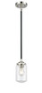 Innovations - 284-1S-BPN-G312 - One Light Mini Pendant - Nouveau - Black Polished Nickel