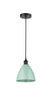 manufacturer_finish:Matte Black|manufacturer_glass:Seafoam Plymouth|light_output:220.00lm|color_temperature:2200K|cri:99