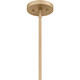 Quoizel Pendant Five Light Pendant (QP680)