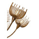 Protea 12 Light Chandelier (1-6912-12-329)