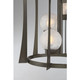 Darien Four Light Pendant (3-1018-4-15)