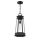 Payne One Light Outdoor Hanging Lantern (5-208-BK)