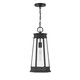 Payne One Light Outdoor Hanging Lantern (5-208-BK)