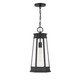 Savoy House - 5-208-BK - One Light Outdoor Hanging Lantern - Payne - Matte Black