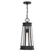 Payne One Light Outdoor Hanging Lantern (5-208-BK)