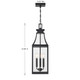 Emery Three Light Outdoor Hanging Lantern (5-608-BK)