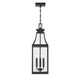 Emery Three Light Outdoor Hanging Lantern (5-608-BK)