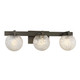 Darien Three Light Bathroom Vanity (8-1017-3-15)