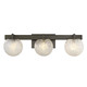 Savoy House - 8-1017-3-15 - Three Light Bathroom Vanity - Darien - Mediterranean Bronze