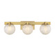 Savoy House - 8-1017-3-322 - Three Light Bathroom Vanity - Darien - Warm Brass