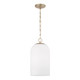 manufacturer_glass:Soft White Glass