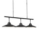 Ditchley Collection Three Light Chandelier (9000-0858)