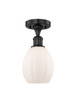 manufacturer_finish:Matte Black|manufacturer_glass:Matte White Eaton