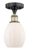 manufacturer_finish:Black Antique Brass|manufacturer_glass:Matte White Eaton