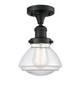 manufacturer_finish:Matte Black|manufacturer_glass:Clear Olean