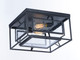 Era Two Light Flush Mount (21670)