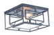 Era Two Light Flush Mount (21670)