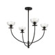 manufacturer_finish:Matte Black/Clear Glass