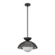 manufacturer_finish:Matte Black/Opal Glass