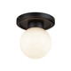 manufacturer_finish:Matte Black/Glossy Opal Glass