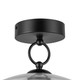 manufacturer_finish:Matte Black/Clear Glass