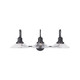 Roan Three Light Vanity (9D318A)