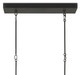 Steelhouse Collection Five Light Chandelier (9000-0809)