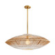 Hadya One Light Pendant in White Ombre (314-45625)