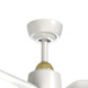 manufacturer_finish:Brushed Gold/Matte White