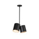 manufacturer_finish:Black