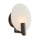 Halette One Light Wall Sconce (49755)