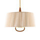 Middlebury Six Light Pendant (49789)