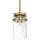 Shelby One Light Pendant (63080-BG/CLR) Shelby One Light Pendant (63080-BG/CLR)